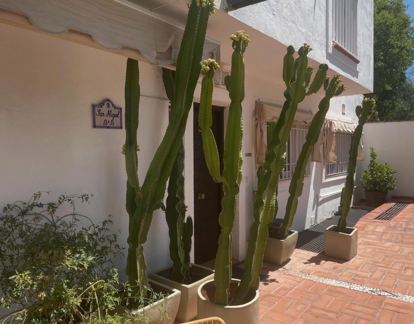 San Miguel B&B Granada Eksteriør bilde